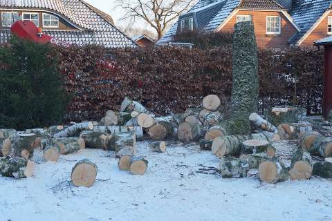 Fällung in Hamburg-Volksdorf