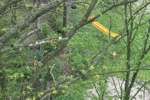 Totholzbeseitigung über einen Spielplatz